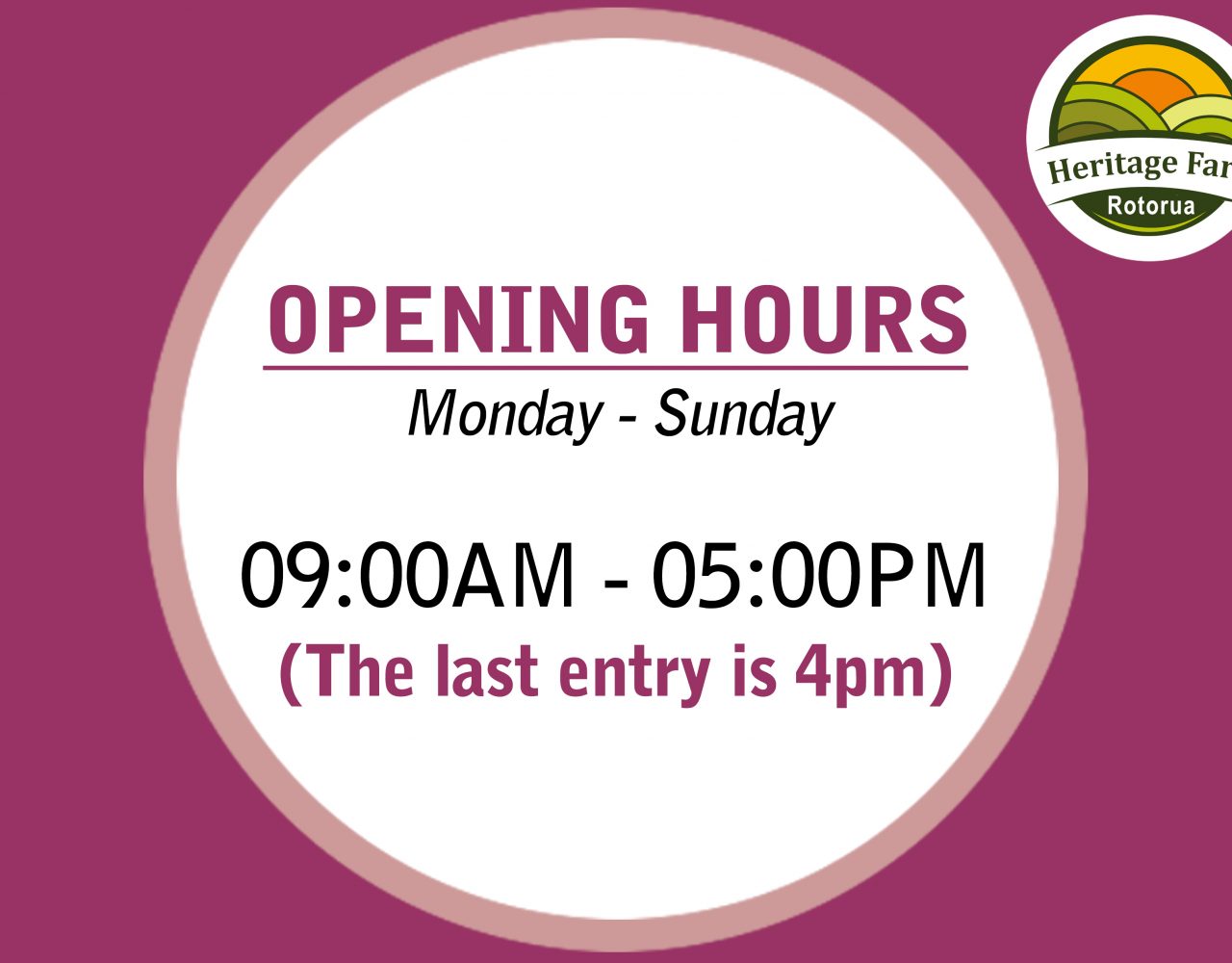 3D Trick Art Gallery Holiday destination, Rotorua attractions