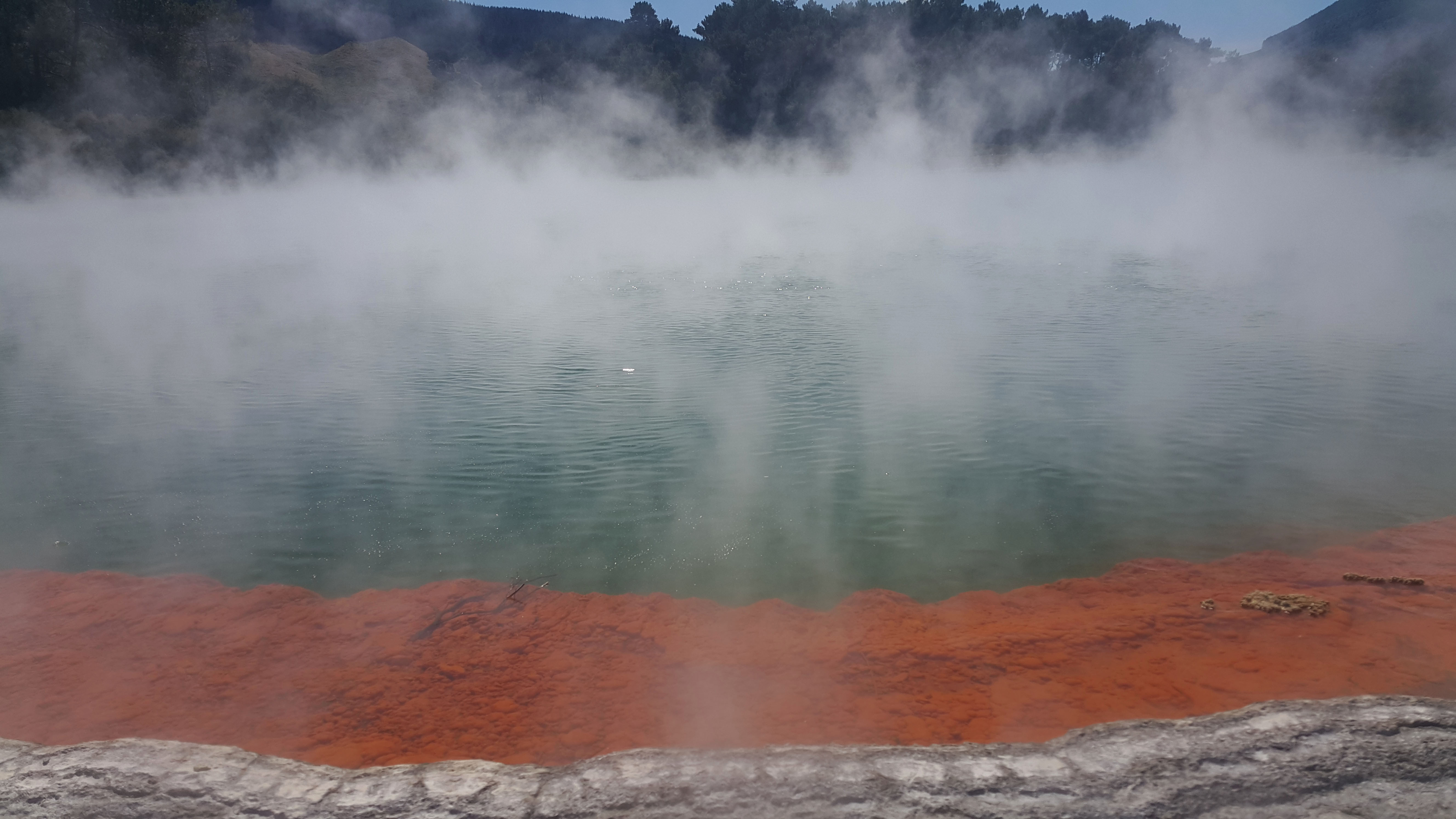 The Best 8 things to do in Rotorua, the land of stunning geothermal activity