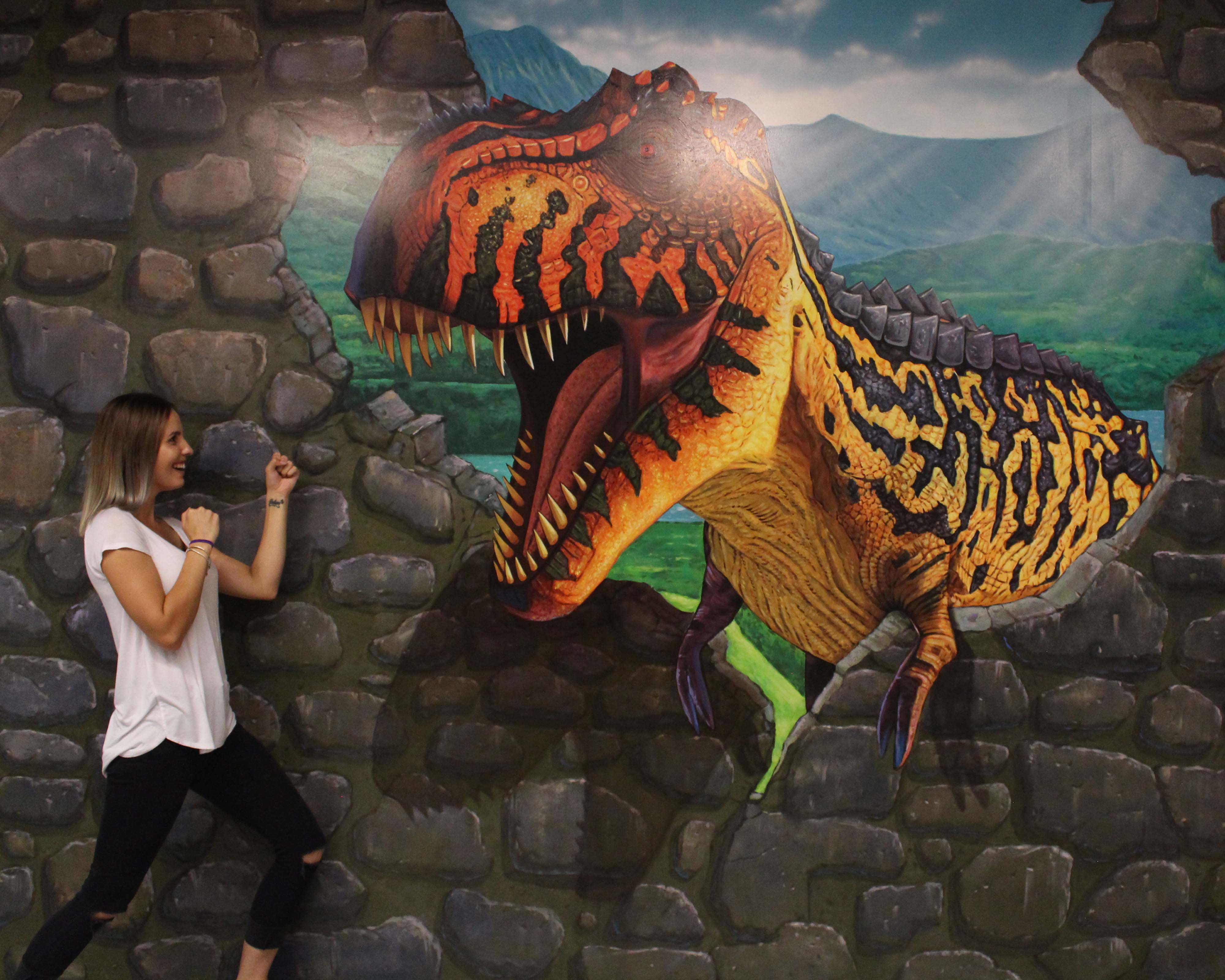 Looking for educational activities in Rotorua? How about the 3D Trick Art Gallery