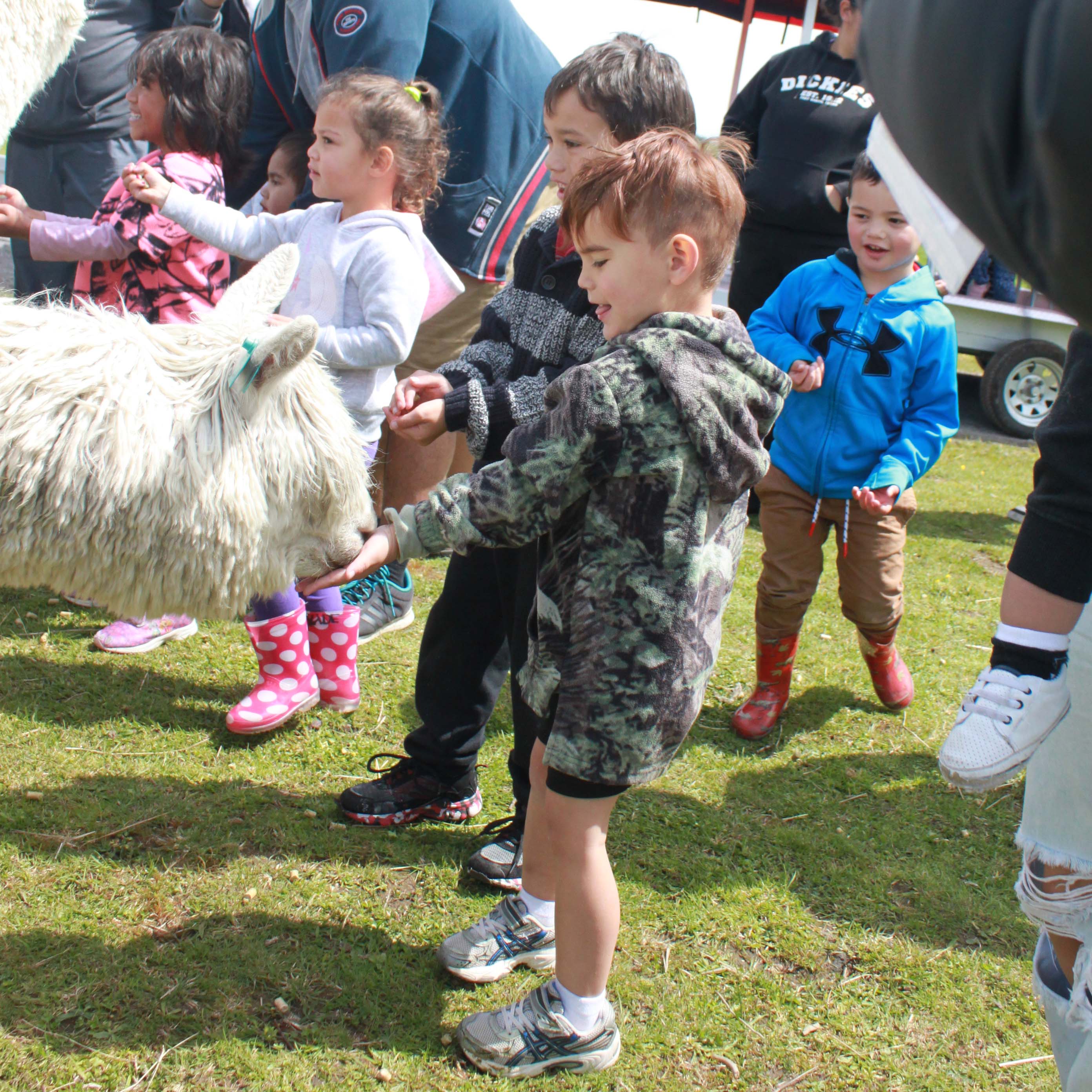 Nature-friendly Rotorua, activities for the summer holidays