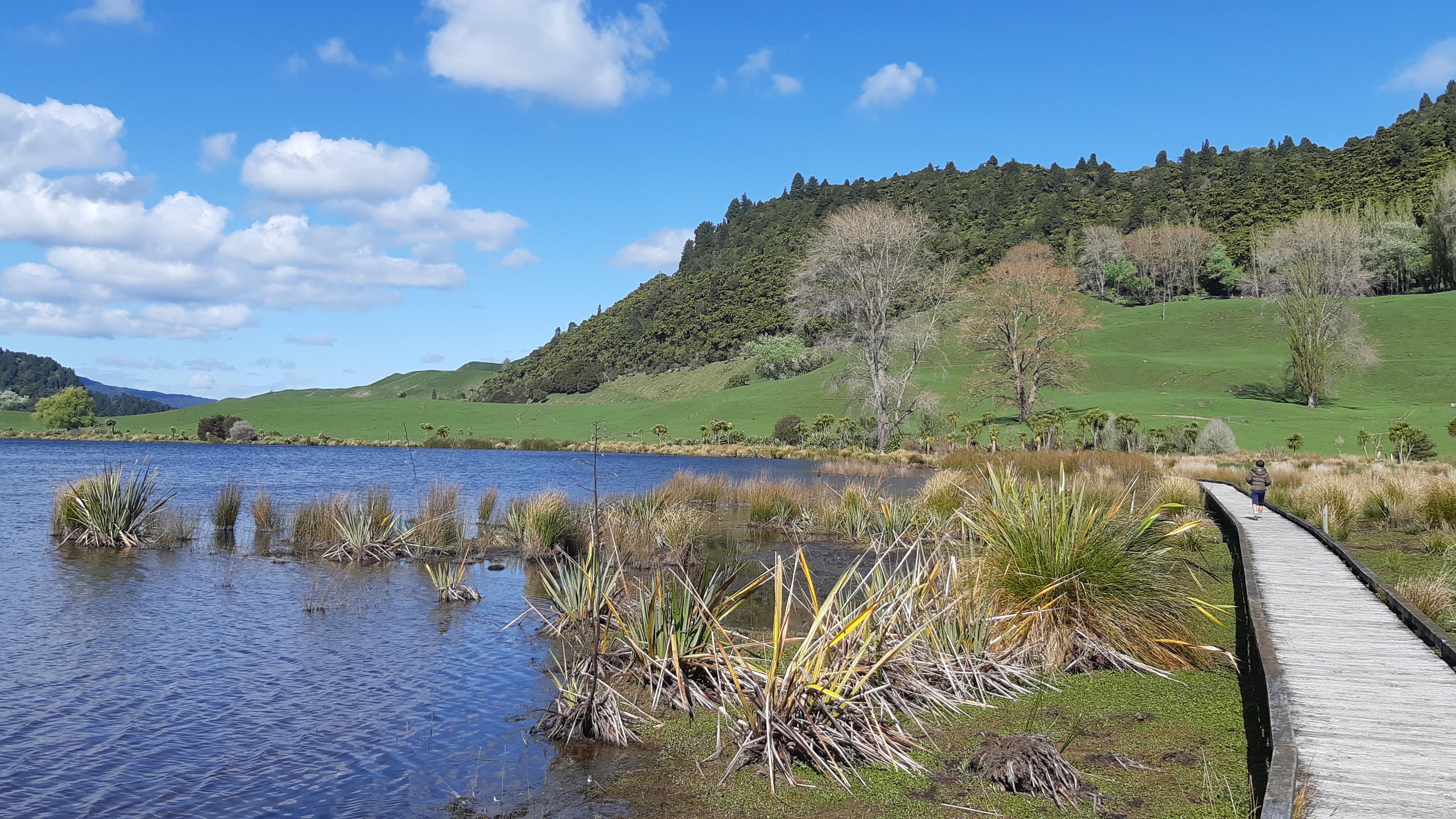 The best Rotorua attractions for the autumn family trip