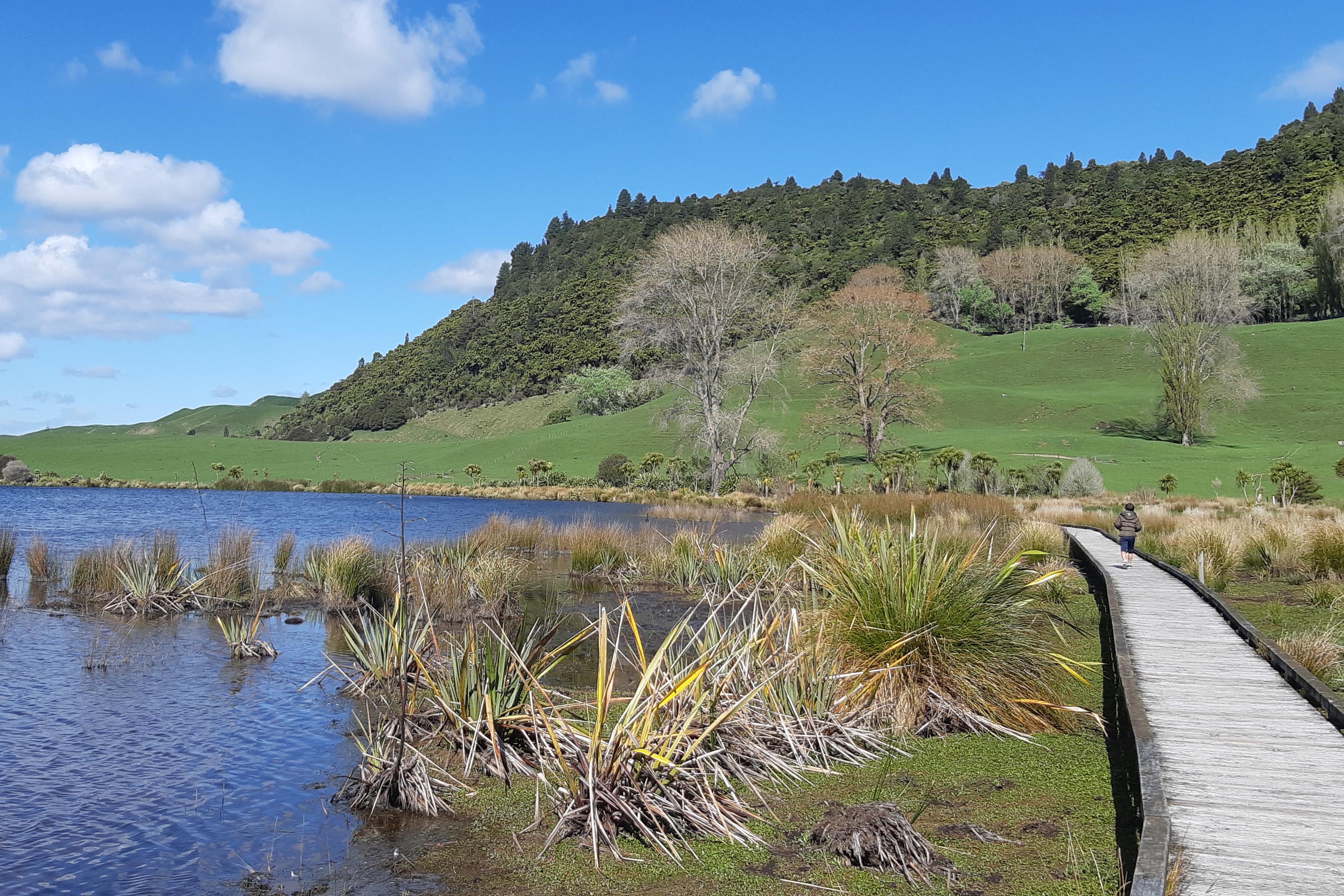 How to enjoy the long weekend in Rotorua