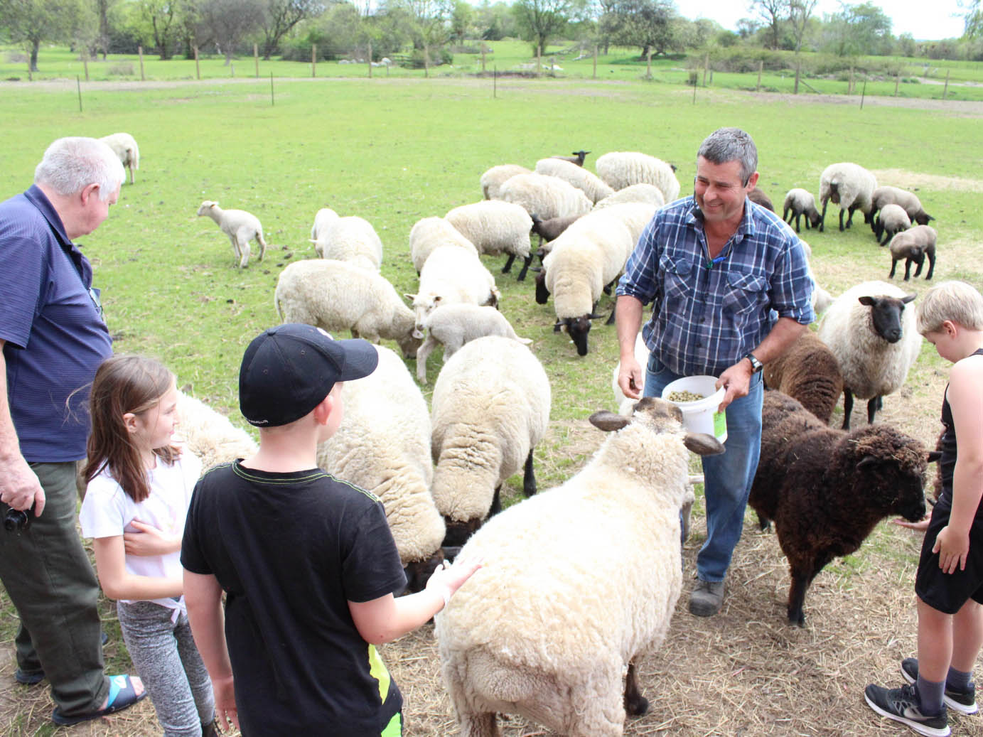 The Farm Tour_things to do in Rotorua