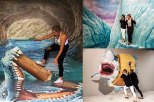 activities in Rotorua