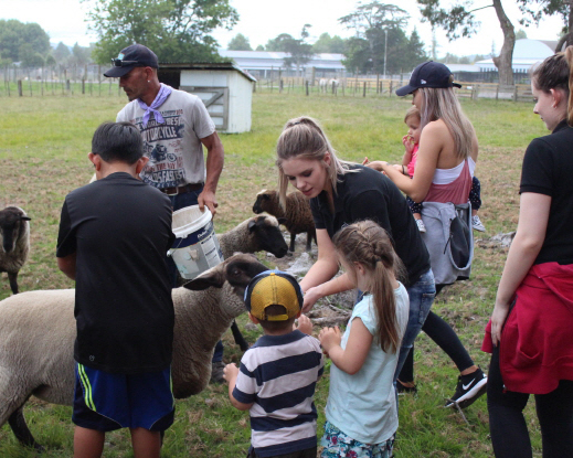 Family activities in Rotorua